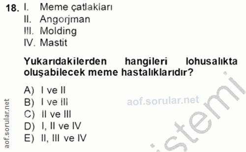 Soru 18