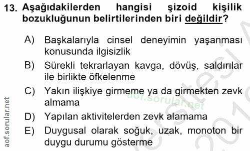 Soru 13