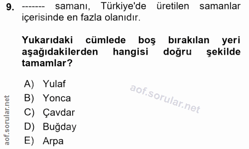 Soru 9