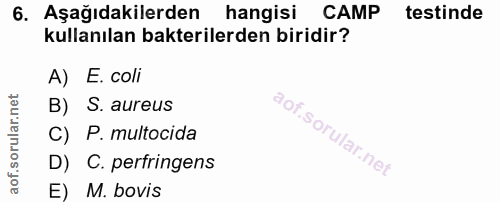 Soru 6