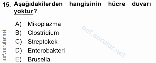 Soru 15
