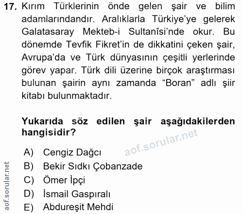 Soru 17