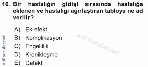 Soru 16
