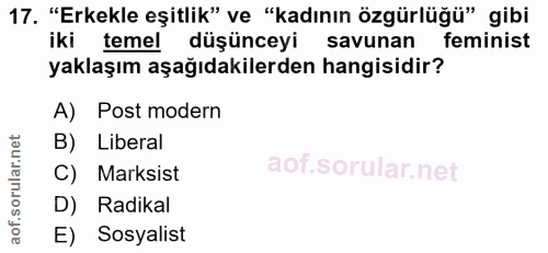 Soru 17