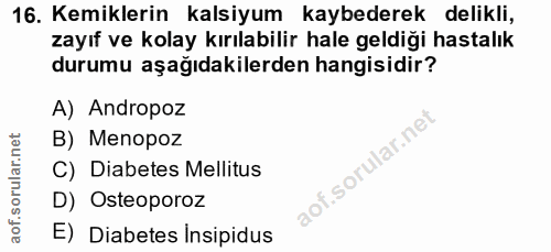 Soru 16