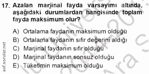 Soru 17