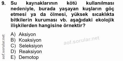 Soru 9
