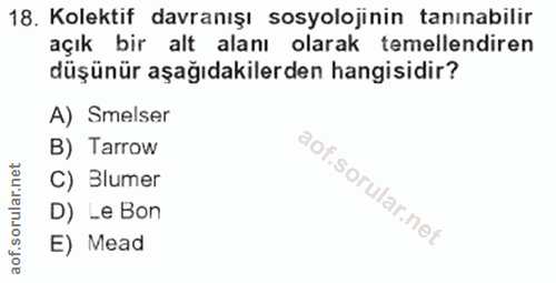 Soru 18