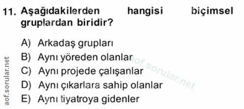 Soru 11