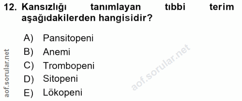 Soru 12