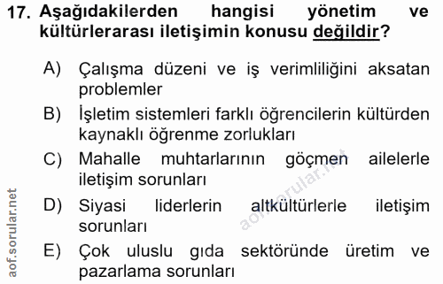 Soru 17