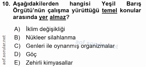 Soru 10