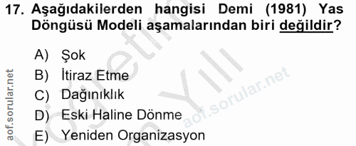 Soru 17
