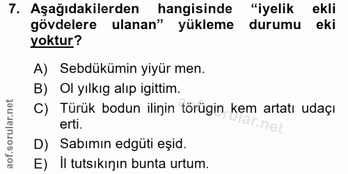 Soru 7