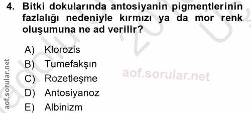 Soru 4