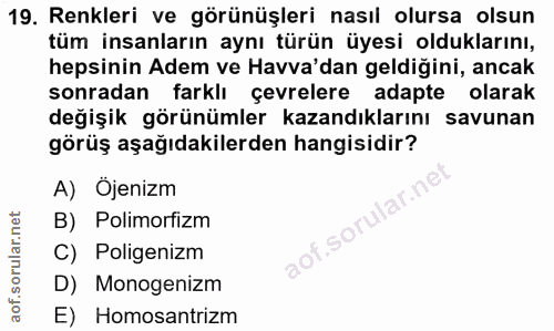Soru 19