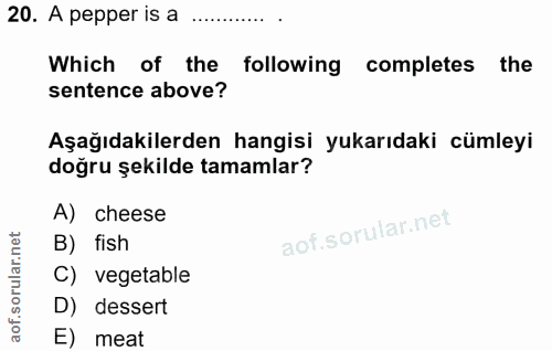 Soru 20