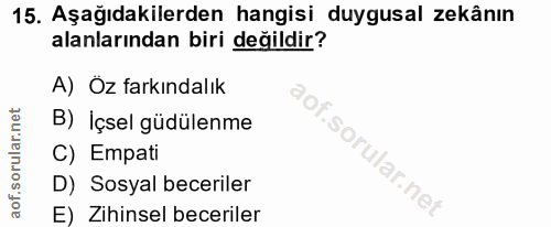 Soru 15