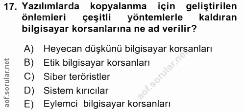 Soru 17
