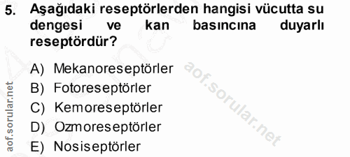 Soru 5