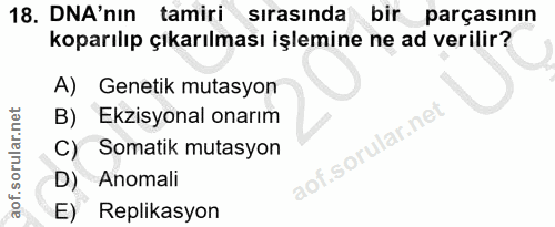 Soru 18