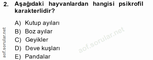 Soru 2
