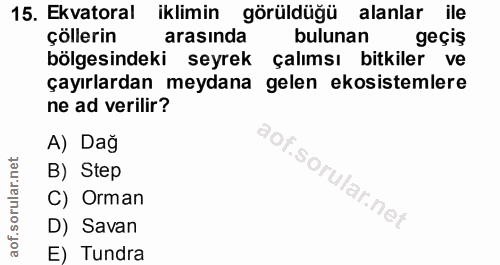 Soru 15
