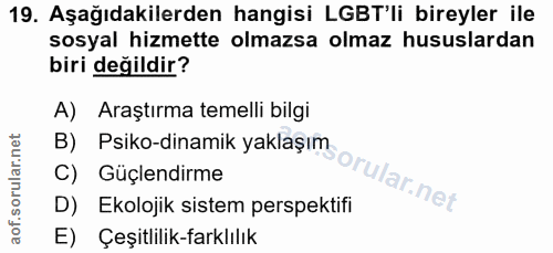 Soru 19