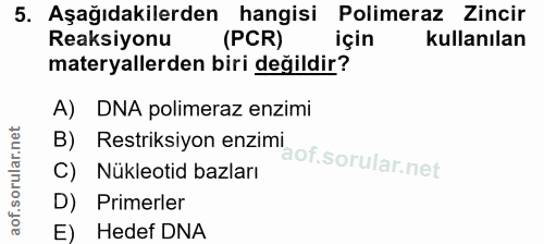 Soru 5