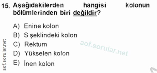 Soru 15
