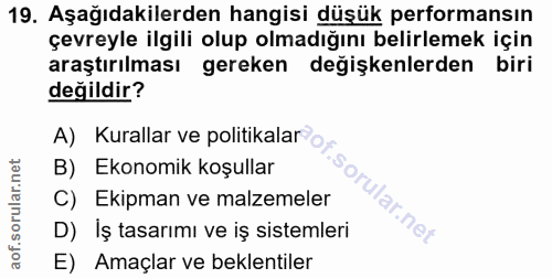 Soru 19