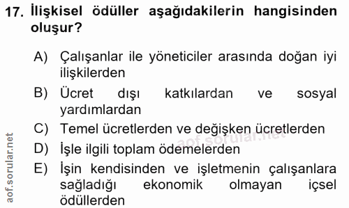 Soru 17