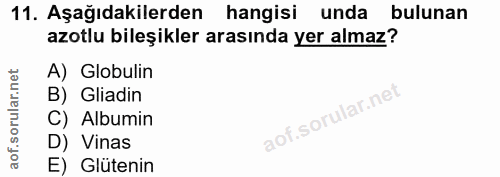 Soru 11