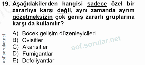 Soru 19
