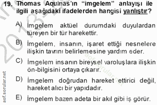 Soru 19