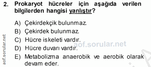 Soru 2