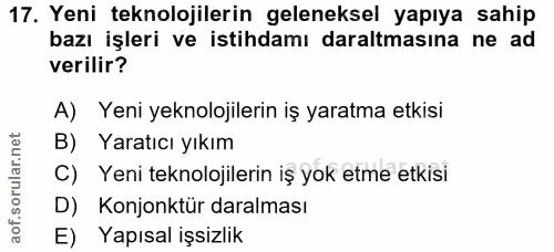 Soru 17