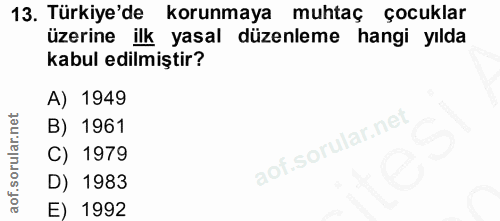Soru 13