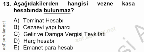 Soru 13