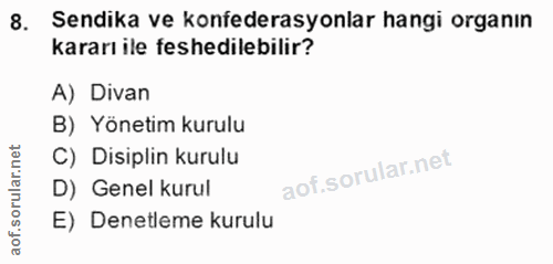 Soru 8