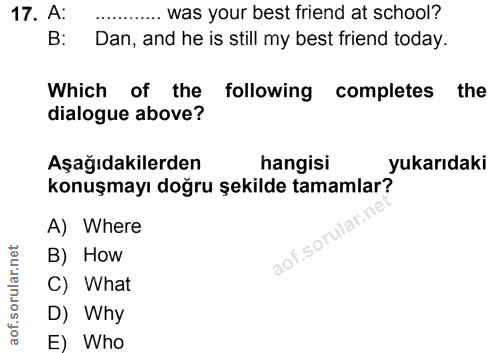 Soru 17