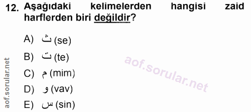 Soru 12