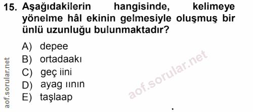 Soru 15