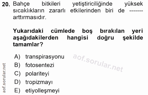 Soru 20