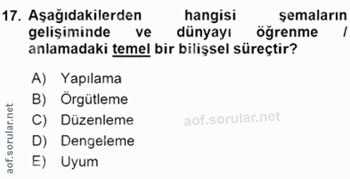 Soru 17