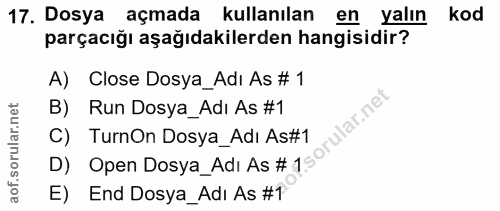 Soru 17