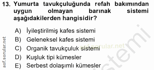 Soru 13