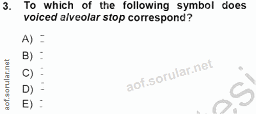 Soru 3
