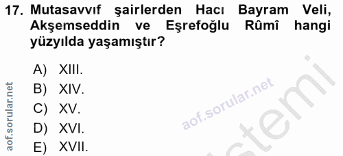 Soru 17
