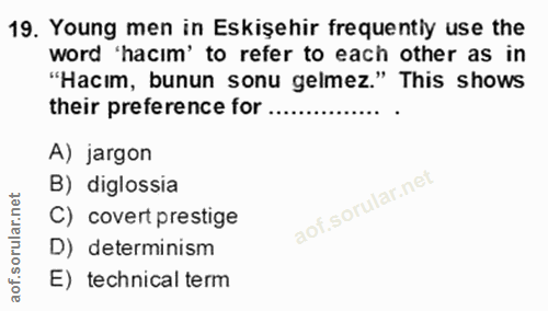 Soru 19